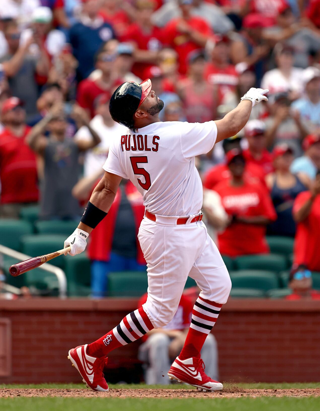 Cincinnati Reds vs St. Louis Cardinals